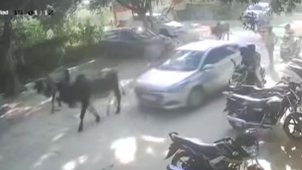 ವಾಹನ ಚಾಲಕರೇ ಎಚ್ಚರ: ನಿಮ್ಮನ್ನೂ ರಾಬರಿ ಮಾಡಬಹುದು ಟಕ್ ಟಕ್ ಗ್ಯಾಂಗ್..!