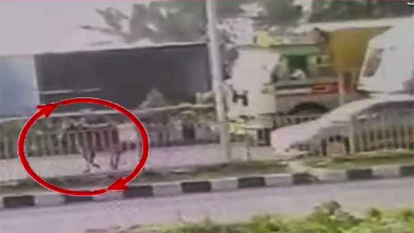 ಹಸು ಉಳಿಸಲು ಹೋಗಿ ಸರಣಿ ಅಪಘಾತ..!