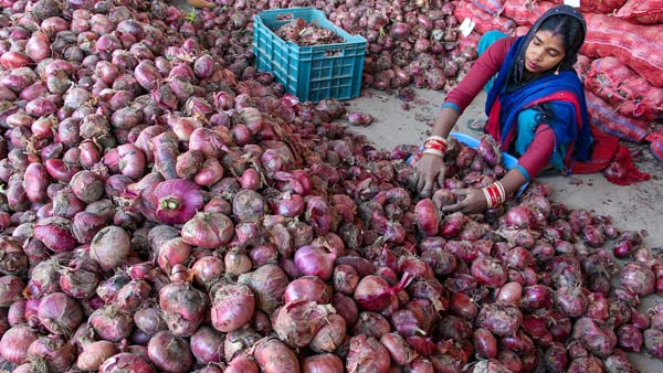ಹೆಲ್ಮೆಟ್ ಧರಿಸಿ ಈರುಳ್ಳಿ ಮಾರಾಟ ಮಾಡಿದ ಕೋ ಆಪರೇಟಿವ್ ಸಿಬ್ಬಂದಿ