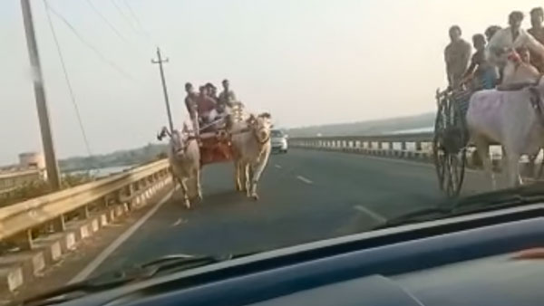 ರಾಂಗ್ ಸೈಡಿನಲ್ಲಿ ಅವಾಂತರ.. ಕಾರಿಗೆ ಗುದ್ದಿದ ಎತ್ತಿನ ಗಾಡಿ..!