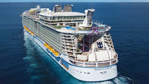 ಈ ಕಾರಣಕ್ಕೆ ಕ್ರೂಸ್ ಹಡಗುಗಳಲ್ಲಿ ಬಾಳೆಹಣ್ಣು ಕೊಂಡೊಯ್ಯುವಂತಿಲ್ಲ..!