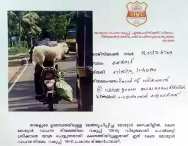 ಬೈಕ್‍‍ನಲ್ಲಿ ನಾಯಿ ಕರೆದೊಯ್ದ ಮಾಲೀಕನಿಗೆ ಬಿತ್ತು ದಂಡ..!