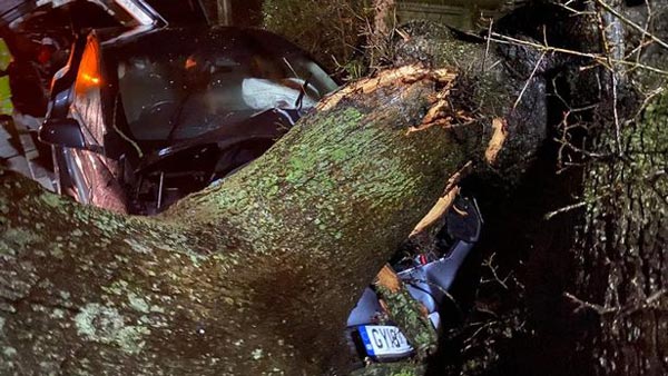 8 ಜನರ ಜೀವ ಕಾಪಾಡಿದ ಟೆಸ್ಲಾ ಕಾರು..!