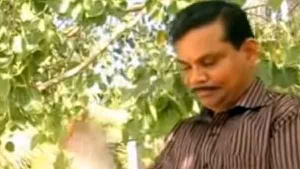 ಮಾರ್ಚ್ 30ರಿಂದ ಮಾರಾಟವಾಗಲಿದೆ ಹರ್ಬಲ್ ಪೆಟ್ರೋಲ್..!