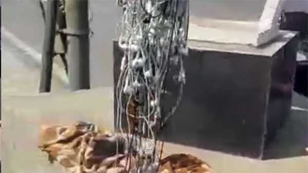 ಹೆಡ್‍‍ಫೋನ್‍ ಬಳಸುತ್ತಿದ್ದ ಆಟೋ ಚಾಲಕರಿಗೆ ಶಾಕ್ ಕೊಟ್ಟ ಟ್ರಾಫಿಕ್ ಪೊಲೀಸರು..!