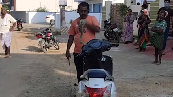 ಸ್ಕೂಟರ್ ಹೆಡ್‌ಲ್ಯಾಂಪ್‌ನಲ್ಲಿದ್ದ ಹಾವು ಹೊರಬಂದಿದ್ದು ಹೇಗೆ ಗೊತ್ತಾ?