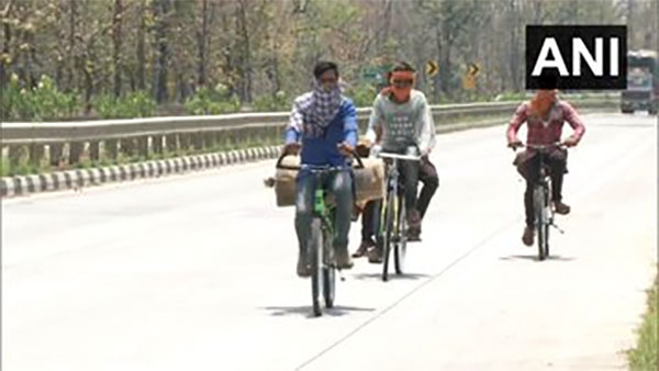 ಲಾಕ್‌ಡೌನ್ ಎಫೆಕ್ಟ್: ಸೈಕಲ್‌ನಲ್ಲೇ ಊರು ಸೇರುತ್ತಿರುವ ಕಾರ್ಮಿಕರು