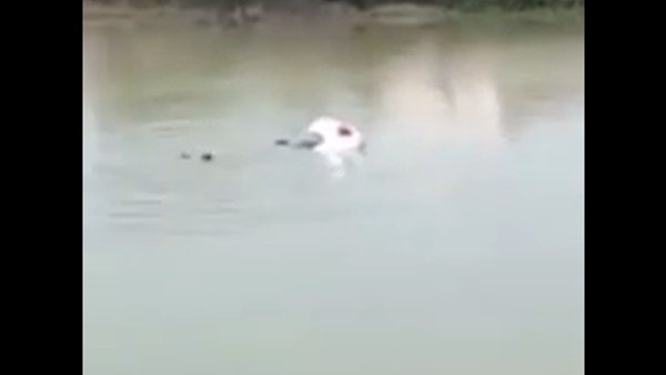 ವಾಹನ ಚಾಲಕರೇ ಗಮನಿಸಿ: ಖಾಲಿ ರಸ್ತೆಯಲ್ಲಿ ವೇಗವಾಗಿ ಚಲಿಸುವ ಮುನ್ನ ಎಚ್ಚರ