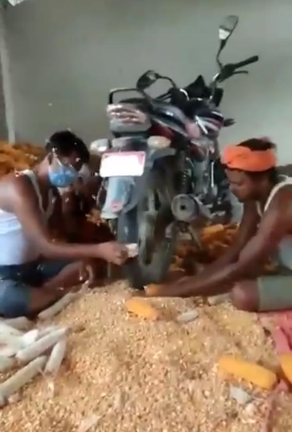 ಮೆಕ್ಕೆ ಜೋಳ ಬೇರ್ಪಡಿಸುವ ಹೊಸ ಐಡಿಯಾ ಮೆಚ್ಚಿದ ಆನಂದ್ ಮಹೀಂದ್ರಾ