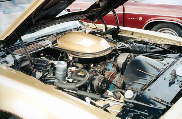 ಕ್ಯಾಪ್ಟನ್ ಕೂಲ್ ಮಹೇಂದ್ರ ಸಿಂಗ್ ಧೋನಿ ಬಳಿಯಿರುವ ಅಪರೂಪದ ವಿಂಟೇಜ್ ಕಾರಿದು