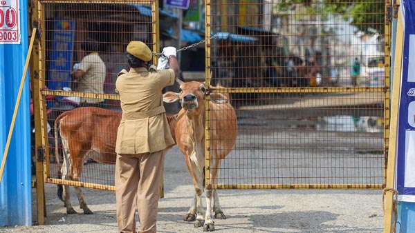 ಫೇಸ್ ಮಾಸ್ಕ್ ಧರಿಸದೇ ಲೇಡಿ ಕಾನ್‌ಸ್ಟೆಬಲ್ ಜೊತೆಗೆ ವಾಗ್ವಾದಕ್ಕಿಳಿದ ಕ್ರಿಕೆಟಿಗ