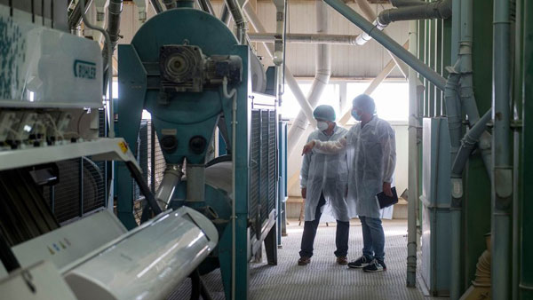 ಭತ್ತದ ಹೊಟ್ಟಿನಿಂದ ತಯಾರಾಗಲಿವೆ ಕಾರಿನ ಬಿಡಿ ಭಾಗಗಳು