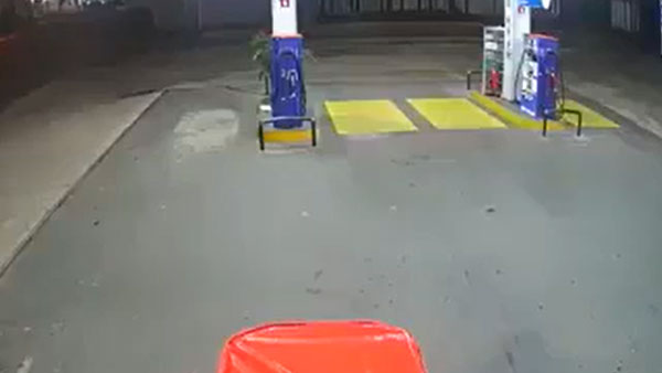 ರೊಚ್ಚಿಗೆದ್ದ ಪ್ರಾಣಿ ದಾಳಿಯಿಂದ ಪಾರಾದ ಬೈಕ್ ಸವಾರರು