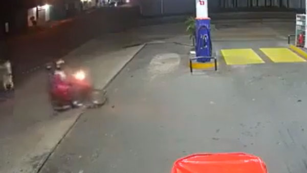 ರೊಚ್ಚಿಗೆದ್ದ ಪ್ರಾಣಿ ದಾಳಿಯಿಂದ ಪಾರಾದ ಬೈಕ್ ಸವಾರರು