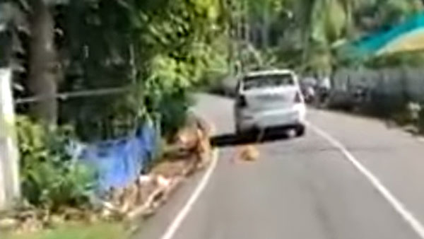 ನಾಯಿಯನ್ನು ಕಾರಿಗೆ ಕಟ್ಟಿ ಸುಮಾರು 2 ಕಿ.ಮೀ ಎಳೆದೊಯ್ದ ದುಷ್ಟ