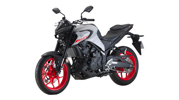 ಹೊಸ ನವೀಕರಣಗಳೊಂದಿಗೆ ಬಿಡುಗಡೆಗೊಂಡ 2021ರ ಯಮಹಾ ಎಂಟಿ-25 ಬೈಕ್