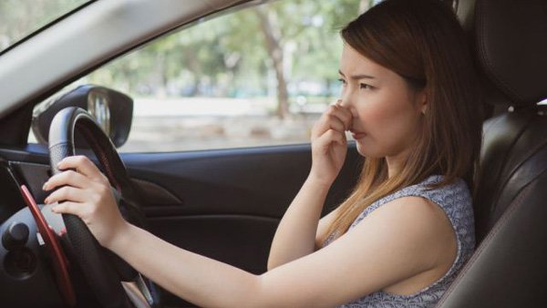 ಕಾರಿನಲ್ಲಿ ಆಹಾರವನ್ನಿಟ್ಟರೆ ಎದುರಾಗಬಹುದಾದ ತೊಂದರೆಗಳಿವು