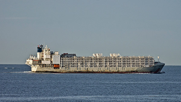 ಹಡಗುಗಳ ಬಗೆ ಹಿಂದೆಂದೂ ತಿಳಿಯದ ರೋಚಕ ಸಂಗತಿಗಳಿವು