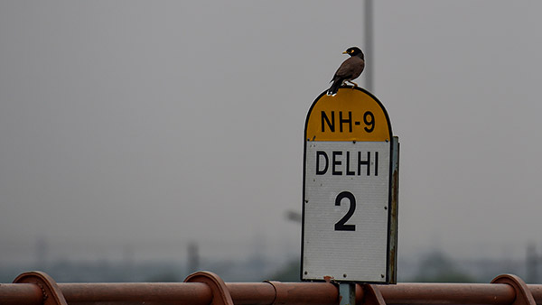 ಎಕ್ಸ್‌ಪ್ರೆಸ್‌ವೇ ನಿರ್ಮಿಸಿದ ಗುತ್ತಿಗೆದಾರರ ವಿರುದ್ದ ಅಸಮಾಧಾನ ವ್ಯಕ್ತಪಡಿಸಿದ ಸಾರಿಗೆ ಸಚಿವ