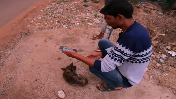 ಗಾಯಗೊಂಡಿದ್ದ ನಾಯಿ ಮರಿಯನ್ನು ರಕ್ಷಿಸಲು ಹೋಗಿ ಸಂಕಷ್ಟಕ್ಕೆ ಸಿಲುಕಿದ ಯುವತಿ