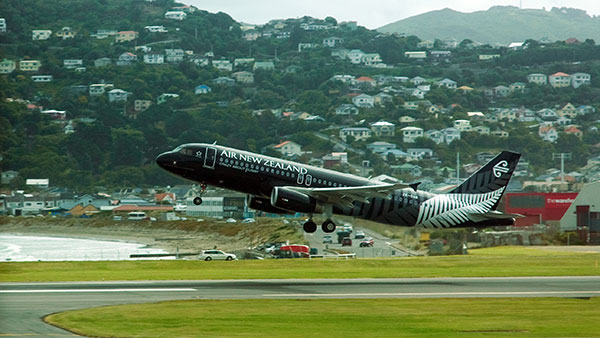 ವಿಮಾನ - ಪಕ್ಷಿಗಳ ನಡುವಿನ ಸಂಘರ್ಷಕ್ಕೆ ಕಾರಣಗಳಿವು