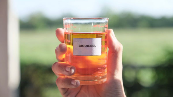 ಪ್ರತಿ ಲೀಟರಿಗೆ 38 ಕಿ.ಮೀ ಮೈಲೇಜ್ ನೀಡುತ್ತದೆ ಕೋಳಿ ತ್ಯಾಜ್ಯದಿಂದ ತಯಾರಾಗುವ ಈ ಬಯೋ ಡೀಸೆಲ್