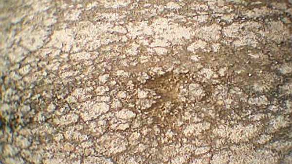 ಸ್ವಂತ ಹಣದಿಂದ ರಸ್ತೆ ದುರಸ್ತಿ ಮಾಡುತ್ತಿರುವ ವೃದ್ಧ ದಂಪತಿ