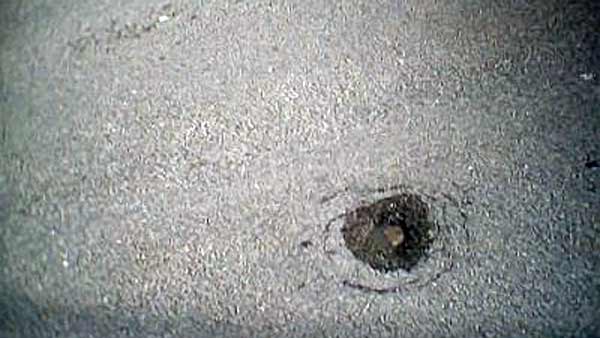 ಸ್ವಂತ ಹಣದಿಂದ ರಸ್ತೆ ದುರಸ್ತಿ ಮಾಡುತ್ತಿರುವ ವೃದ್ಧ ದಂಪತಿ