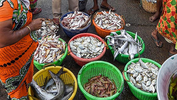 ಮೀನು ಖರೀದಿಸಿದವರಿಗೆ ದೊರೆಯಿತು ಒಂದು ಲೀಟರ್ ಉಚಿತ ಪೆಟ್ರೋಲ್ 