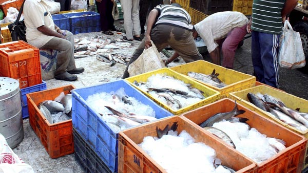 ಮೀನು ಖರೀದಿಸಿದವರಿಗೆ ದೊರೆಯಿತು ಒಂದು ಲೀಟರ್ ಉಚಿತ ಪೆಟ್ರೋಲ್ 