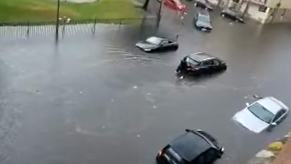 ಮಳೆ ನೀರಿನಲ್ಲಿ ನಿಂತಿದ್ದ ಕಾರನ್ನು ಮುಂದಕ್ಕೆ ತಳ್ಳಲು ಯಜಮಾನಿಗೆ ನೆರವಾದ ಸಾಕು ನಾಯಿ