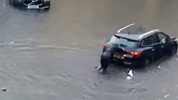 ಮಳೆ ನೀರಿನಲ್ಲಿ ನಿಂತಿದ್ದ ಕಾರನ್ನು ಮುಂದಕ್ಕೆ ತಳ್ಳಲು ಯಜಮಾನಿಗೆ ನೆರವಾದ ಸಾಕು ನಾಯಿ