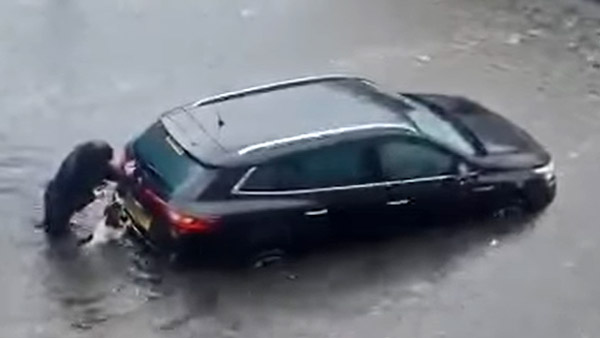 ಮಳೆ ನೀರಿನಲ್ಲಿ ನಿಂತಿದ್ದ ಕಾರನ್ನು ಮುಂದಕ್ಕೆ ತಳ್ಳಲು ಯಜಮಾನಿಗೆ ನೆರವಾದ ಸಾಕು ನಾಯಿ