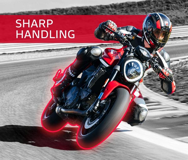 ಭಾರತದಲ್ಲಿ ಐಷಾರಾಮಿ 2021ರ Ducati Monster ಬೈಕ್ ಬಿಡುಗಡೆ