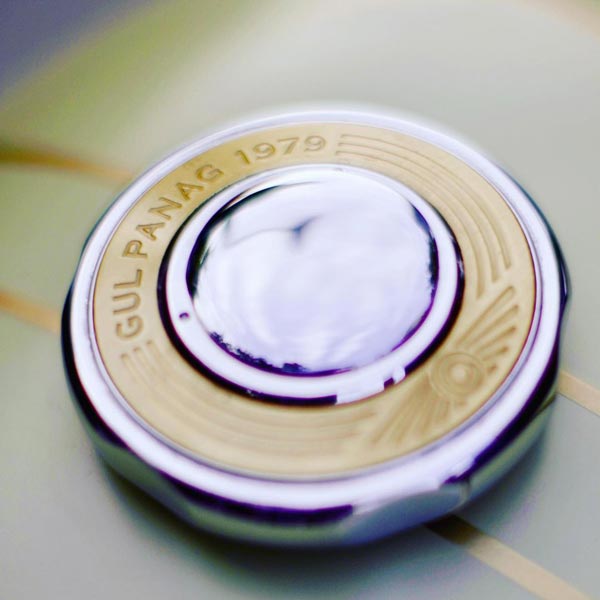 ಕಸ್ಟಮ್ ಜಾವಾ 42 ಬೈಕ್ ಖರೀದಿಸಿದ ಬಾಲಿವುಡ್ ನಟಿ