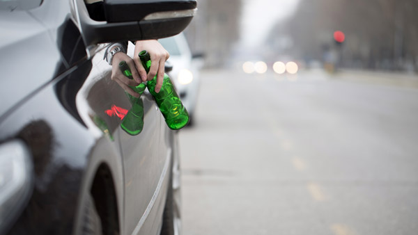 ಕುಡಿದ ಮತ್ತಿನಲ್ಲಿ ಭಾರತೀಯ ಸೇನೆಯ ವಾಹನ ಜಖಂಗೊಳಿಸಿದ ರೂಪದರ್ಶಿ