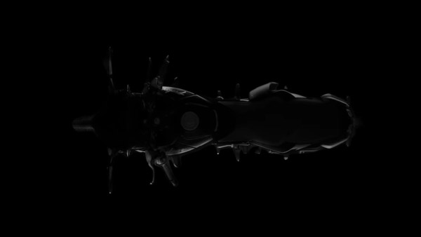 ಭಾರತದಲ್ಲಿ ಬಿಡುಗಡೆಗೆ ಸಜ್ಜಾದ 2021ರ Bajaj Pulsar 250 ಬೈಕ್