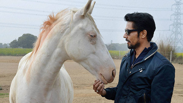 ವಿಂಟೇಜ್ Willys Jeep ಖರೀದಿಸಿದ ನಟ ರಣದೀಪ್ ಹೂಡಾ 