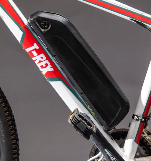 ಜಪಾನ್, ನೇಪಾಳಗಳಲ್ಲಿಯೂ ಎಲೆಕ್ಟ್ರಿಕ್ ಸೈಕಲ್ ಬಿಡುಗಡೆಗೊಳಿಸಿದ ಪುಣೆ ಮೂಲದ ಕಂಪನಿ