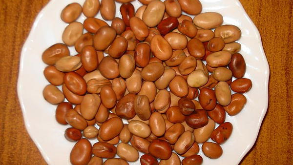 ವಿಮಾನ ಹತ್ತುವ ಮೊದಲು ಈ ಆಹಾರಗಳನ್ನು ಸೇವಿಸದಿರಿ..