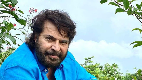 ಐಷಾರಾಮಿ ಪೋರ್ಷೆ ಎಲೆಕ್ಟ್ರಿಕ್ ಕಾರು ಟೆಸ್ಟ್ ಡ್ರೈವ್ ಮಾಡಿದ ಮೆಗಾಸ್ಟಾರ್ ಮಮ್ಮುಟ್ಟಿ