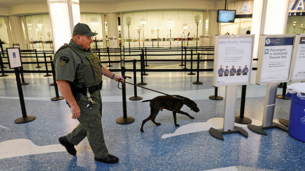 ವಿಮಾನ ನಿಲ್ದಾಣಗಳಲ್ಲಿನ ಪೊಲೀಸ್ ಶ್ವಾನಗಳ ಸಾಮರ್ಥ್ಯ ನಿಮಗೆ ಗೊತ್ತೇ? ಇಲ್ಲಿದೆ ಸಂಪೂರ್ಣ ಮಾಹಿತಿ... 