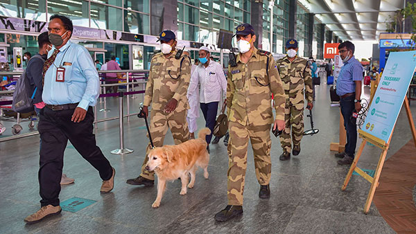 ವಿಮಾನ ನಿಲ್ದಾಣಗಳಲ್ಲಿನ ಪೊಲೀಸ್ ಶ್ವಾನಗಳ ಸಾಮರ್ಥ್ಯ ನಿಮಗೆ ಗೊತ್ತೇ? ಇಲ್ಲಿದೆ ಸಂಪೂರ್ಣ ಮಾಹಿತಿ... 