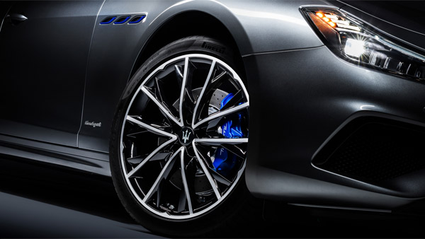 ಬೀದಿ ನಾಯಿಗೆ ಡಿಕ್ಕಿ ಹೊಡೆದ ಐಷಾರಾಮಿ ಕಾರು ಚಾಲಕನ ವಿರುದ್ದ ಪ್ರಕರಣ ದಾಖಲಿಸಿದ ಪೊಲೀಸರು