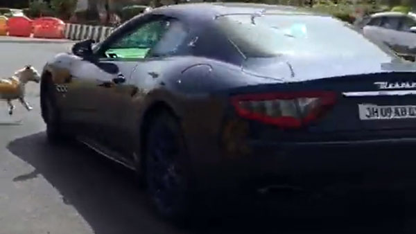 ಬೀದಿ ನಾಯಿಗೆ ಡಿಕ್ಕಿ ಹೊಡೆದ ಐಷಾರಾಮಿ ಕಾರು ಚಾಲಕನ ವಿರುದ್ದ ಪ್ರಕರಣ ದಾಖಲಿಸಿದ ಪೊಲೀಸರು