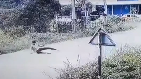  ಅತಿ ವೇಗದ ಚಾಲನೆ: ಗಾಳಿಗೆ ಹಾರಿ ಟ್ರಾನ್ಸ್‌ಫಾರ್ಮರ್ ಒಳಗೆ ಬಿದ್ದ KTM ಬೈಕ್