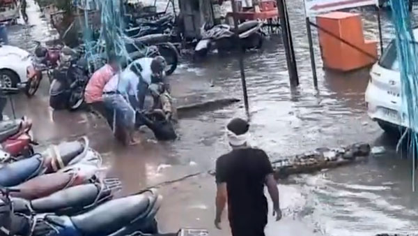 ದಾರಿ ಬಿಡ್ರಪ್ಪ ಎಂದು ಹಾರ್ನ್ ಮಾಡಿದ ಟ್ರಕ್ ಮುಂದೆ ನಾಗಿನ್ ಸ್ಟೆಪ್ಸ್ ಹಾಕಿದ ಬೈಕ್ ಸವಾರರು 