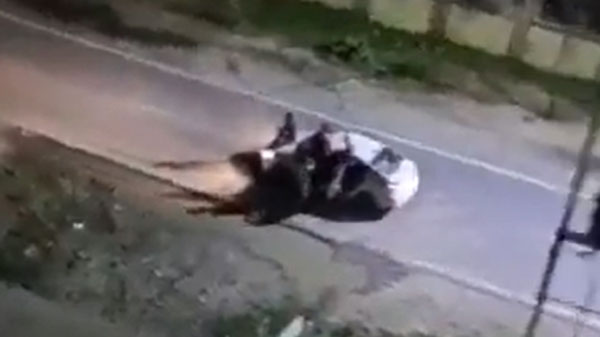 ಲೇಡಿಸ್ ಹಾಸ್ಟಲ್ ಮುಂದೆ ಸ್ಟಂಟ್ ಮಾಡಿ ಪೊಲೀಸರಿಗೆ ಸಿಕ್ಕಿಬಿದ್ದ ಯುವಕರು: ವಿಡಿಯೋ ವೈರಲ್ 