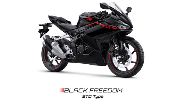 ಸ್ಟೈಲಿಶ್ ಲುಕ್‍ನಲ್ಲಿ ಹೊಸ ಹೋಂಡಾ ಸಿಬಿಆರ್250ಆರ್‌ಆರ್ ಬೈಕ್ ಅನಾವರಣ