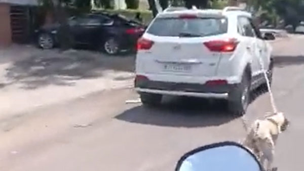 ನಾಯಿಗೆ ನರಕ ತೋರಿದ ವೈದ್ಯನ ವಿರುದ್ಧ ಎಫ್‌ಐಆರ್: ಕಾರಿನ ವೇಗಕ್ಕೆ ಮೂಕ ಜೀವಿಯ ನರಳಾಟ 